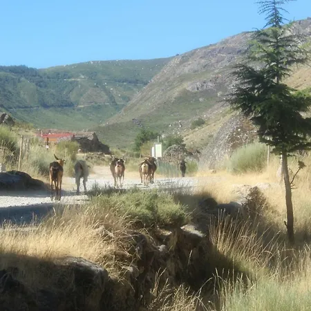 A Primeira Casinha Do Me-me * 曼泰加什