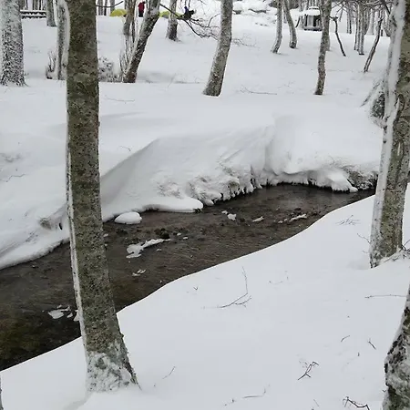 A Primeira Casinha Do Me-me *