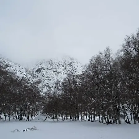 A Primeira Casinha Do Me-me *