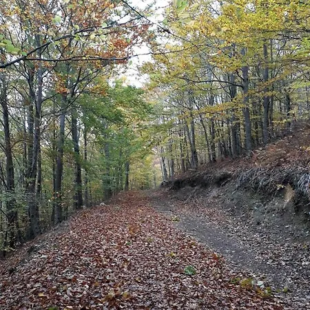 A Primeira Casinha Do Me-me